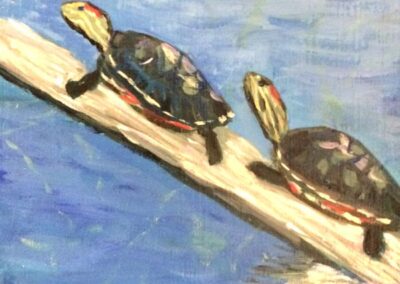 Turtles